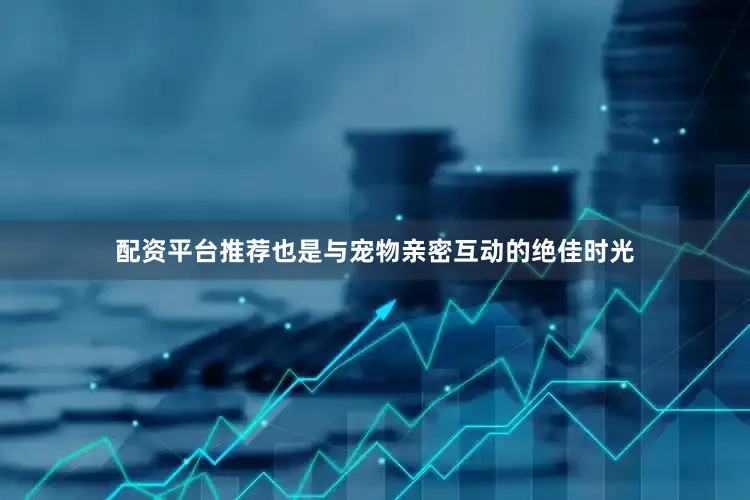 配资平台推荐也是与宠物亲密互动的绝佳时光